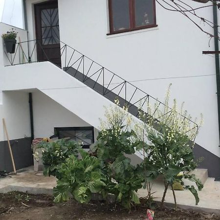 Fanzeres Casa Isabel 2 Bedroom Apartment Near Porto מראה חיצוני תמונה