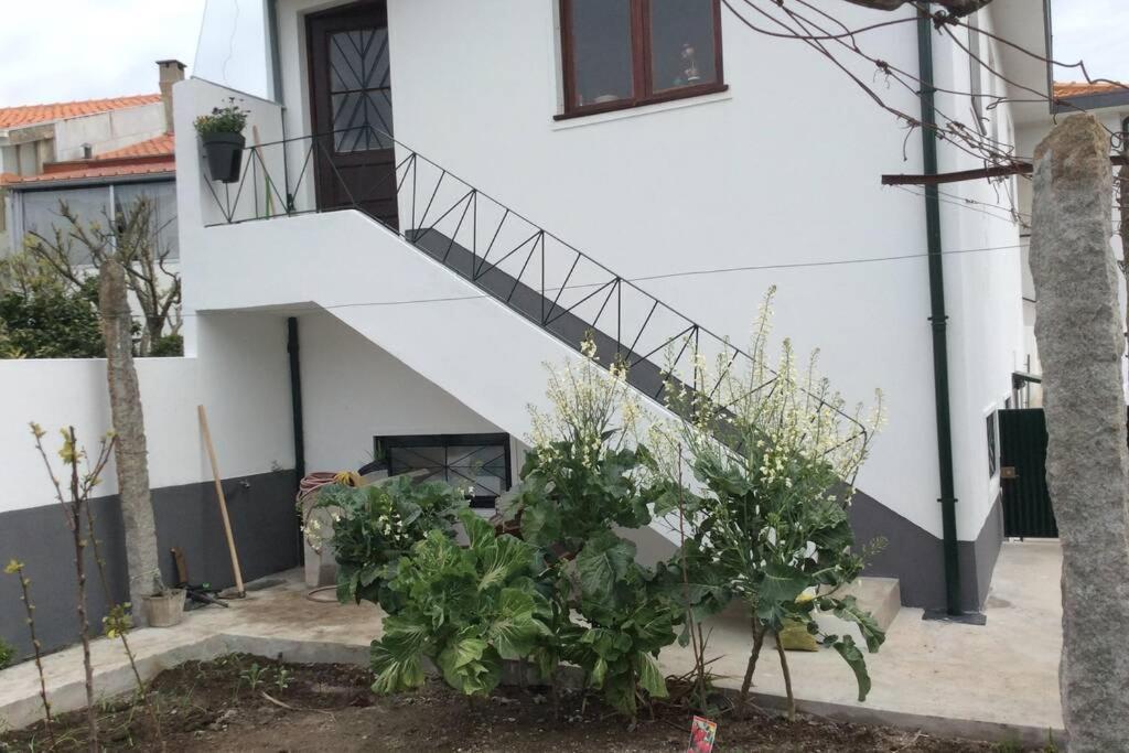 Fanzeres Casa Isabel 2 Bedroom Apartment Near Porto מראה חיצוני תמונה