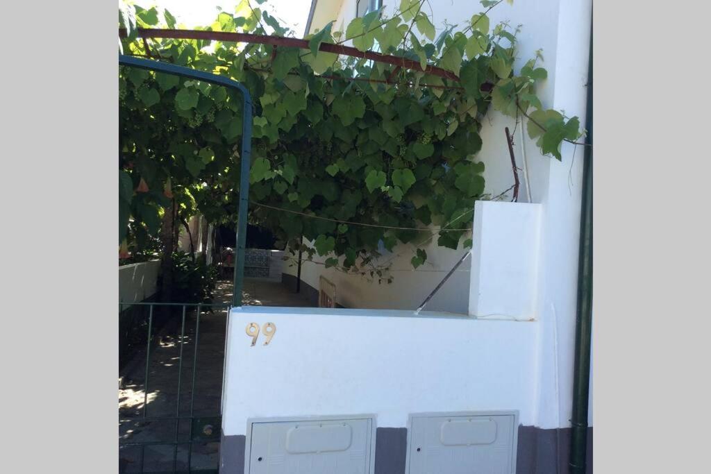 Fanzeres Casa Isabel 2 Bedroom Apartment Near Porto מראה חיצוני תמונה